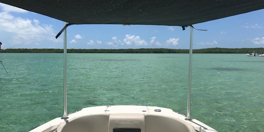 Boston Whaler 270 Vantage