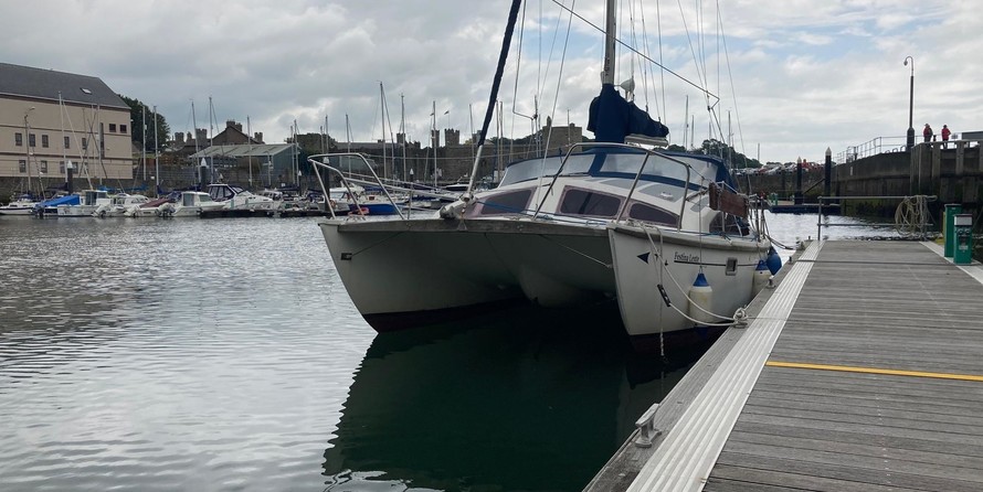 Heavenly twins mk ii