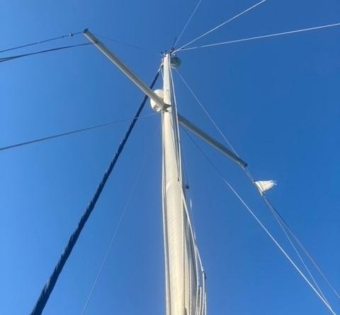 Heavenly twins mk ii