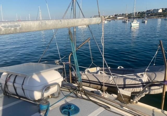 Heavenly twins mk ii