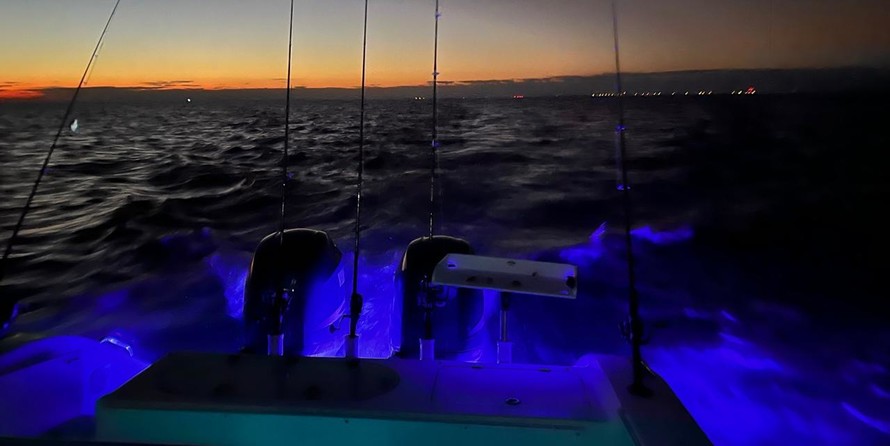 Angler Pro Boats 2900 center console