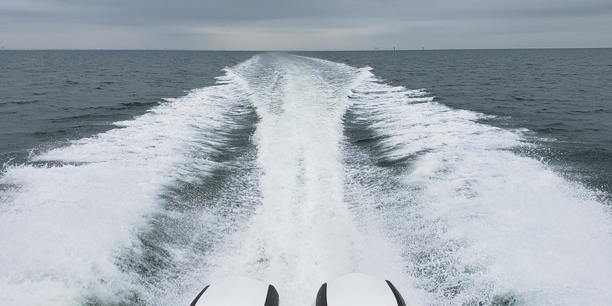 Hydra-sports 2800 vector wa