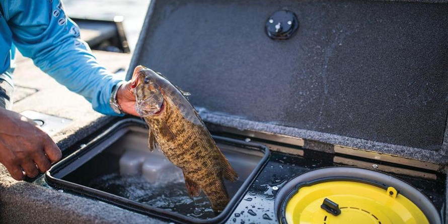 Tracker Targa V-18 WT