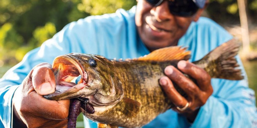 Tracker Targa V-18 WT