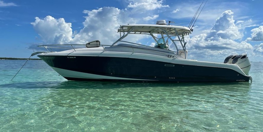 Hydra-sports 2800 vector wa