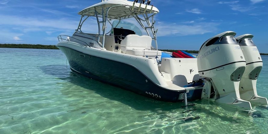 Hydra-sports 2800 vector wa