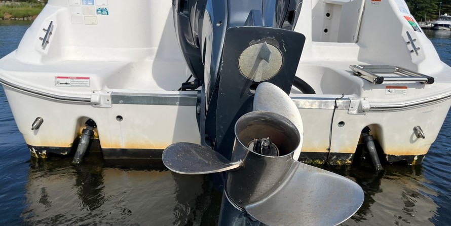 Wellcraft 290 Coastal