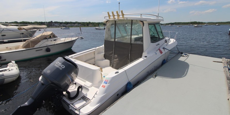 Wellcraft 290 Coastal