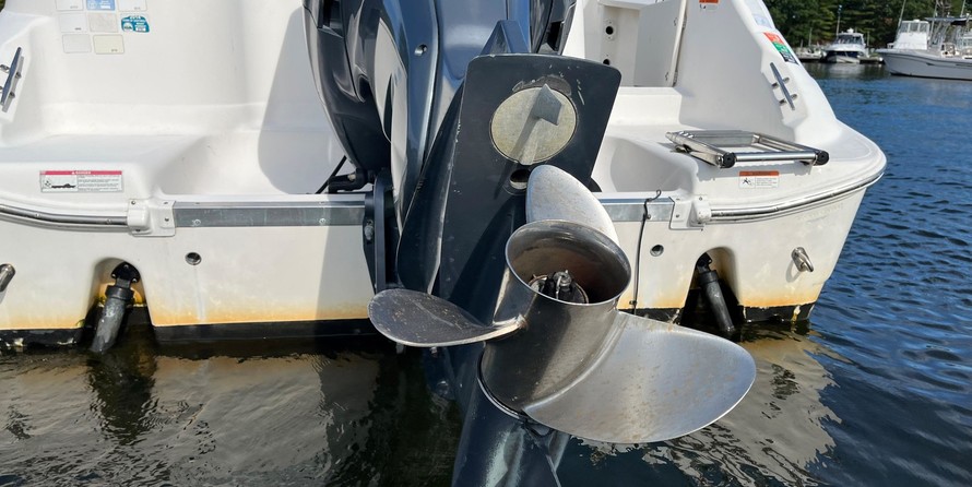 Wellcraft 290 Coastal