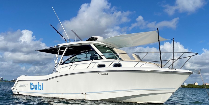 Boston Whaler 315 Conquest