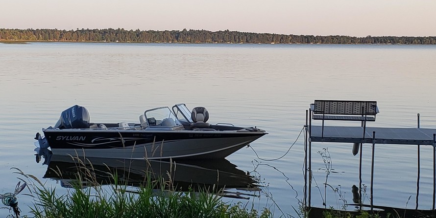 Sylvan 1900 Pro Sport DC