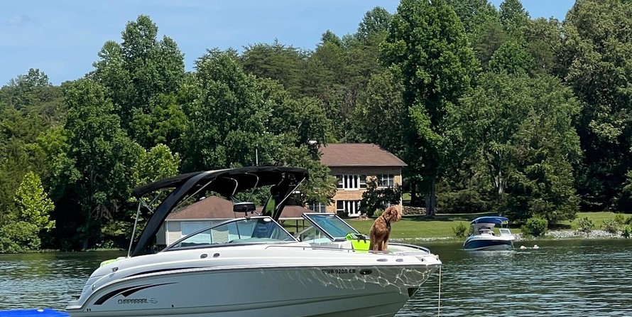 Chaparral 256 SSi