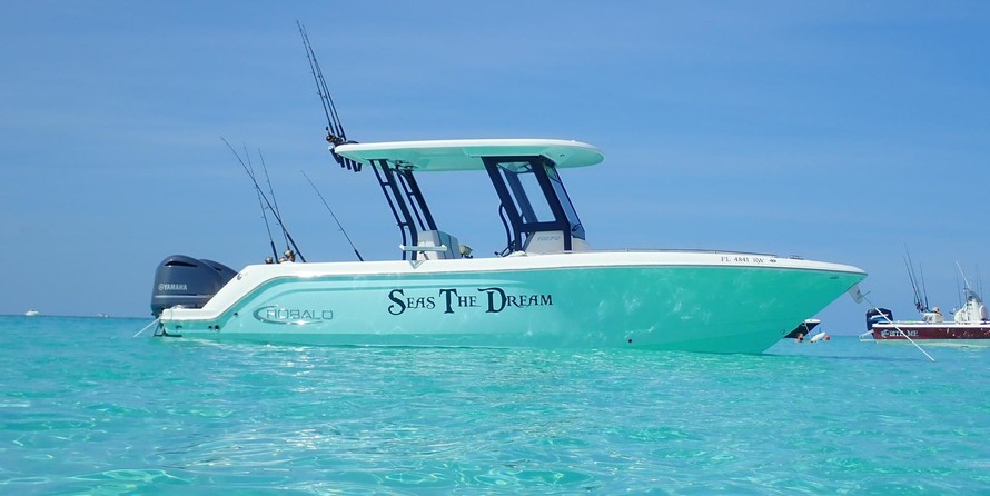 Robalo centre console r272