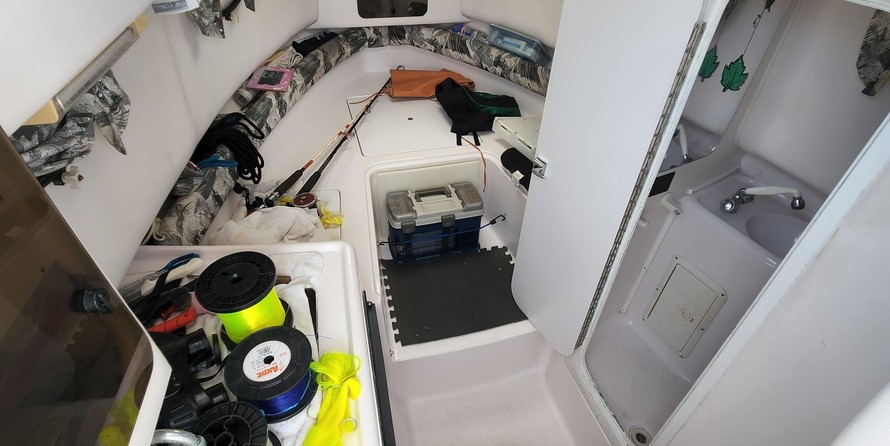 Pro-line 30 sport wa