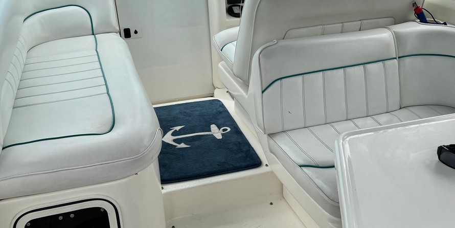 Sea ray 270 sundancer