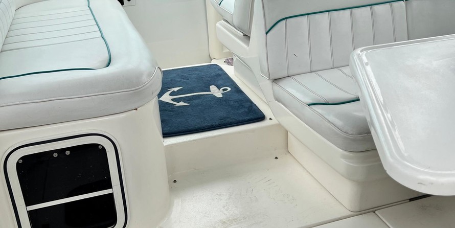 Sea ray 270 sundancer