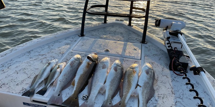 Shallow sport modified v 24