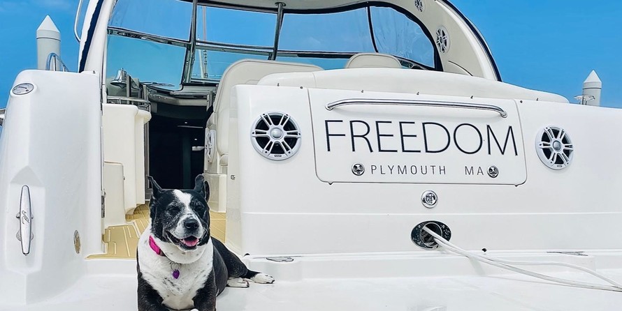 Sea Ray 390 Sundancer