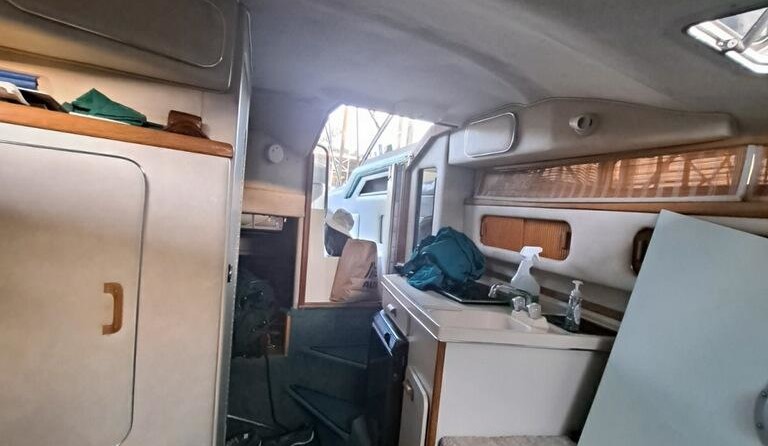 Sea ray 270 sundancer