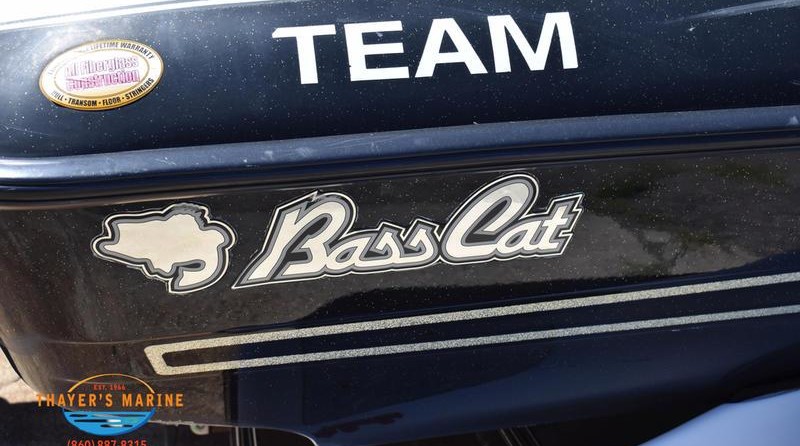 Bass cat 20