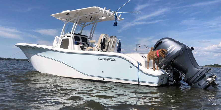 Sea Fox 266 Commander