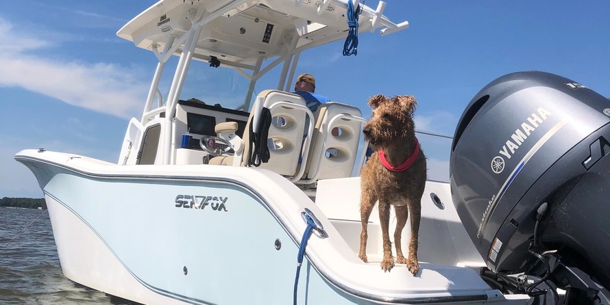 Sea Fox 266 Commander