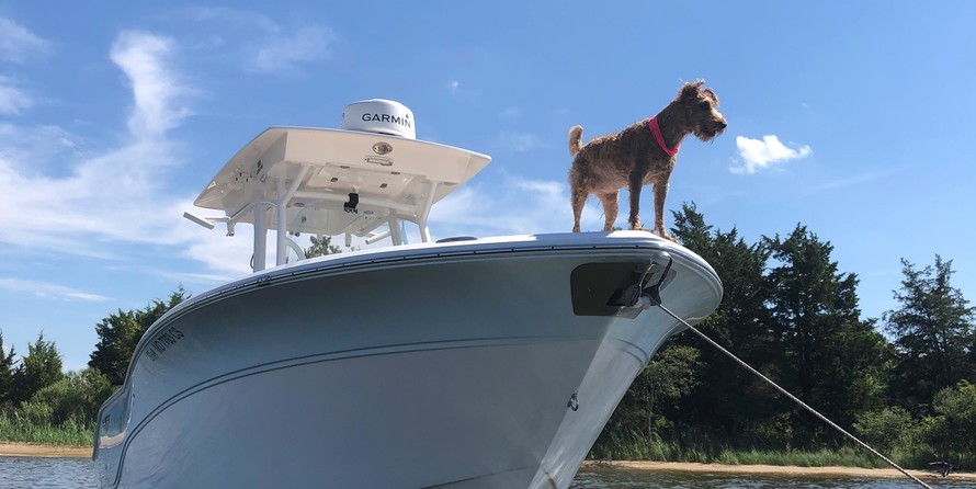 Sea Fox 266 Commander