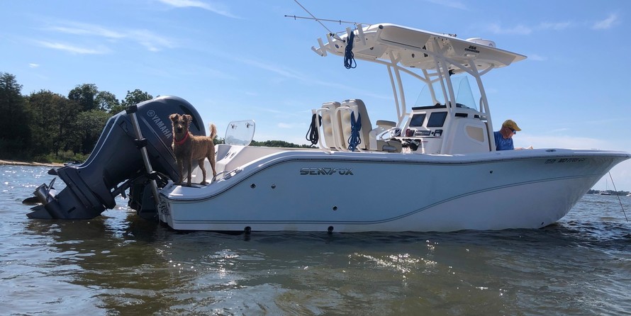 Sea Fox 266 Commander