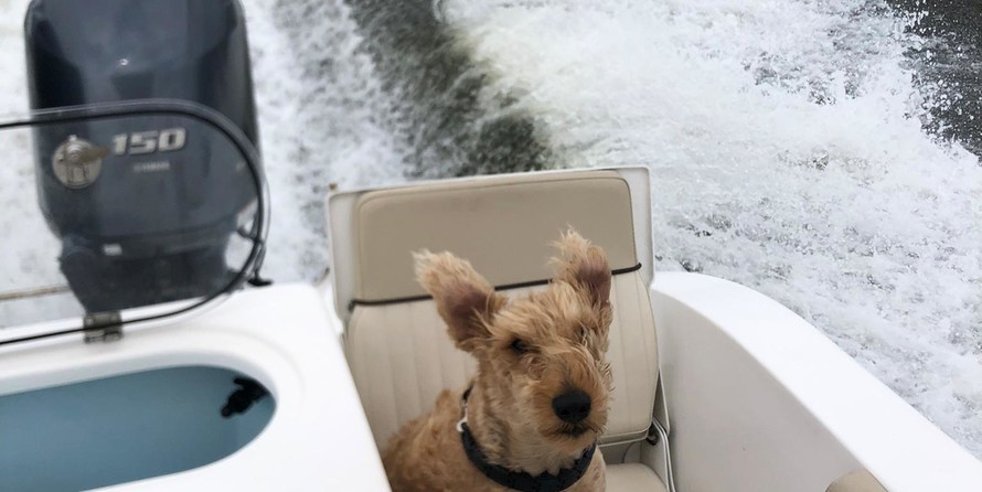 Sea Fox 266 Commander