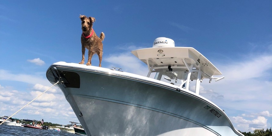 Sea Fox 266 Commander