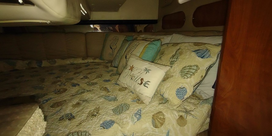 Rinker Fiesta Vee 310