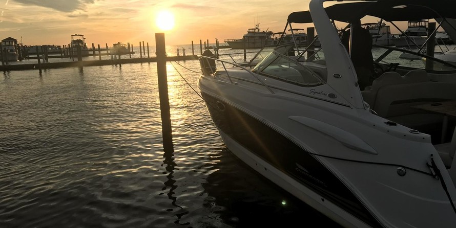 Chaparral 290 Signature