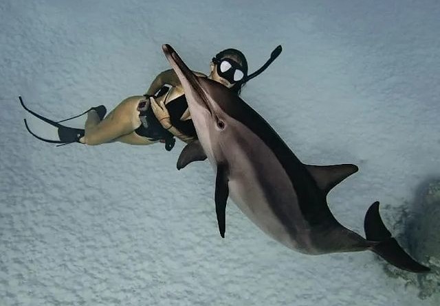 Beneteau Cyclades 50.5