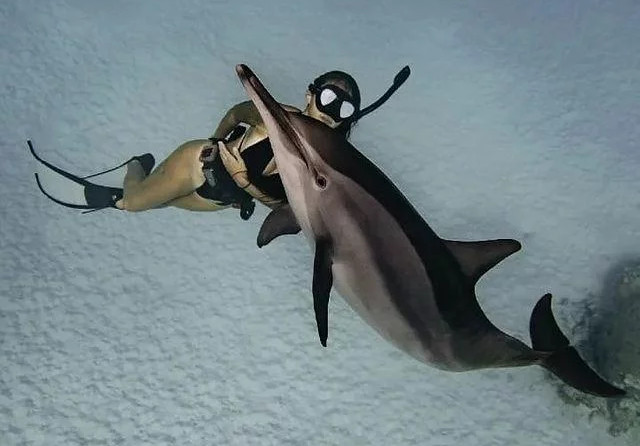 Beneteau Cyclades 50.5