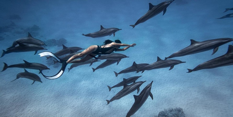 Beneteau Cyclades 50.5