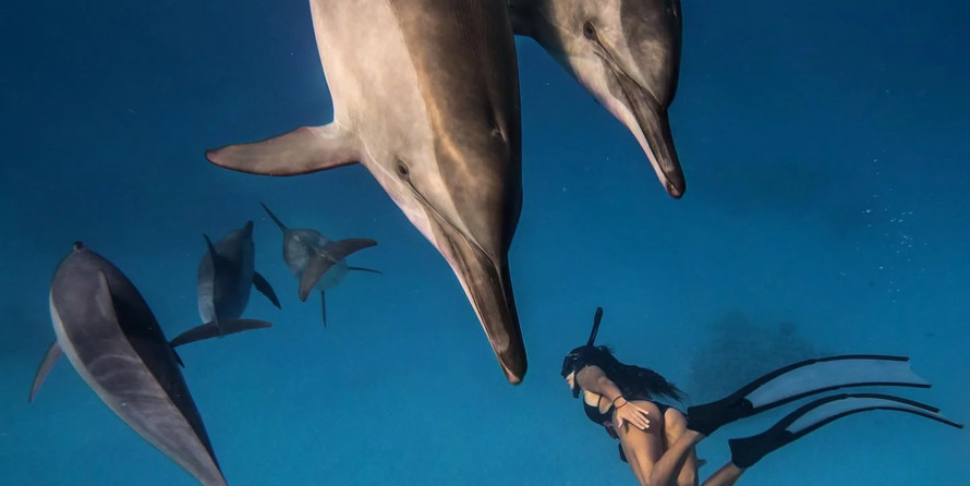 Beneteau Cyclades 50.5