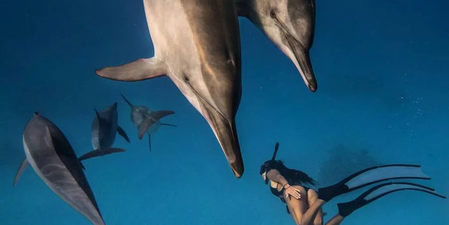 Beneteau Cyclades 50.5