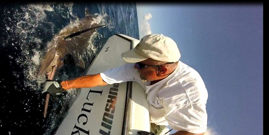 Pursuit 3370 Offshore