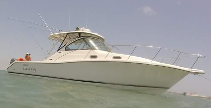 Pursuit 3370 Offshore