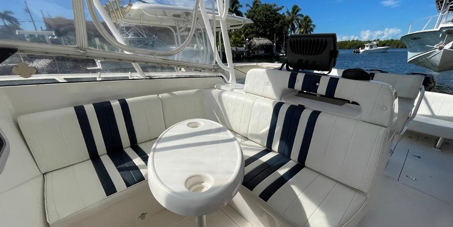 Intrepid 310 walkaround