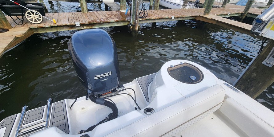 Sea Fox 246 Commander