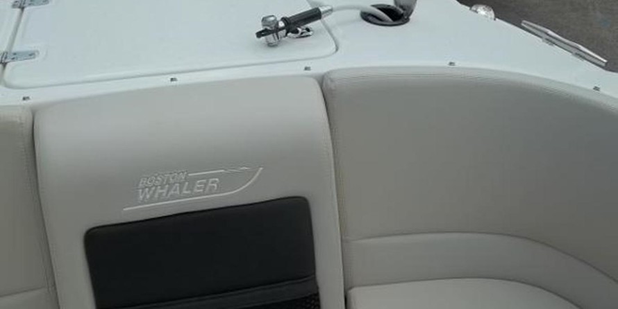 Boston Whaler 230 Vantage