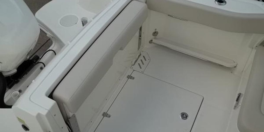 Boston Whaler 230 Vantage