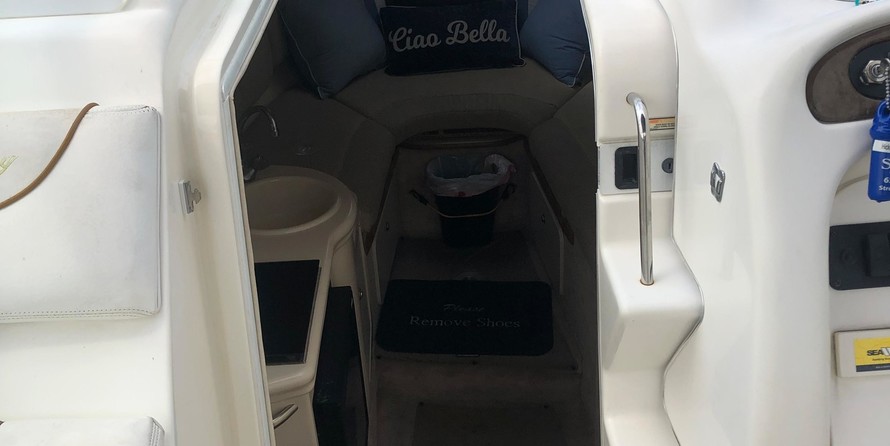 Sea Ray 260 Sundancer