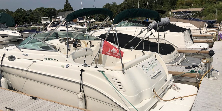 Sea Ray 260 Sundancer