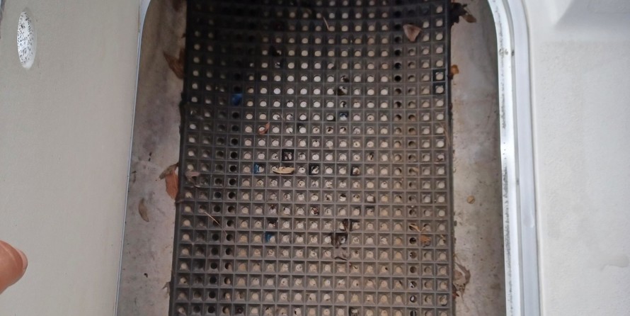 Four winns 200 horizon