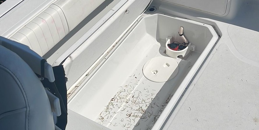 Glacier bay isle runner blue hull 2670