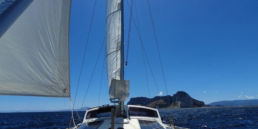 Prout snowgoose 37 elite