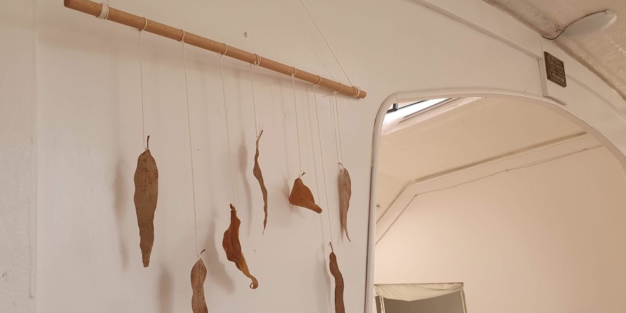 Prout snowgoose 37 elite