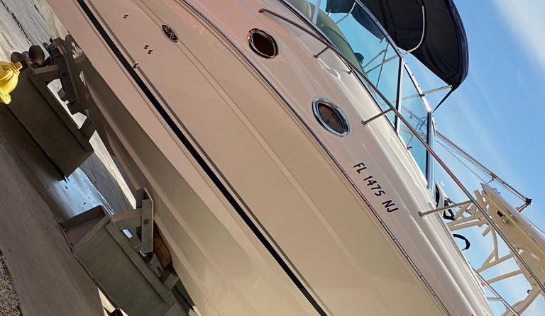 Sea Ray 240 Sundancer